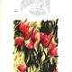 Illustration for article titled Translating The J. Peterman Catalog
